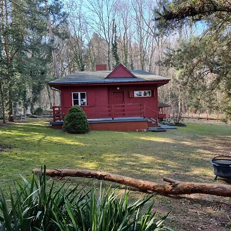 Boszkowski Azyl Boszkowo-Letnisko